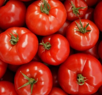 Tomato
