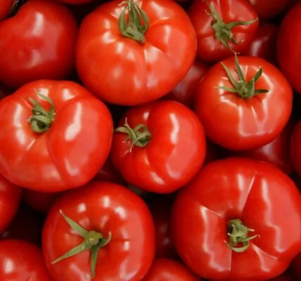 Tomato