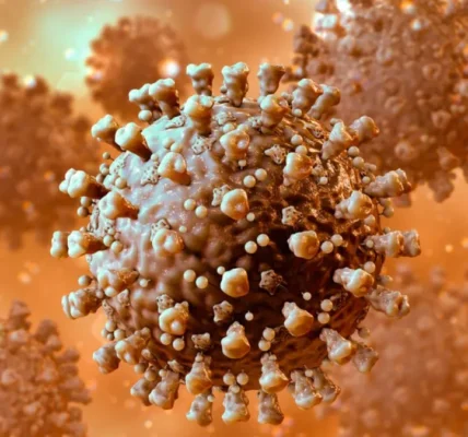 140 cases of Chandipura virus infection have been reported in Gujarat, out of which 59 patients have died