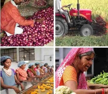 8875 Farmer Producer Organizations are registered in the country