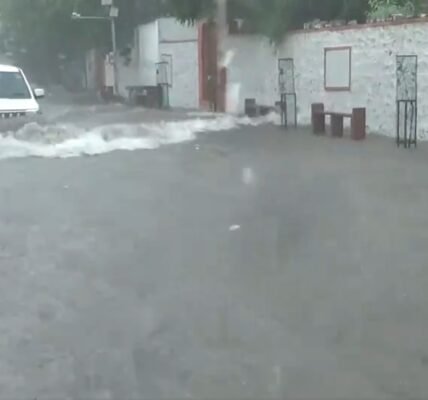 Continuous rain in Rajasthan has caused the death of 22 people in different parts of the state