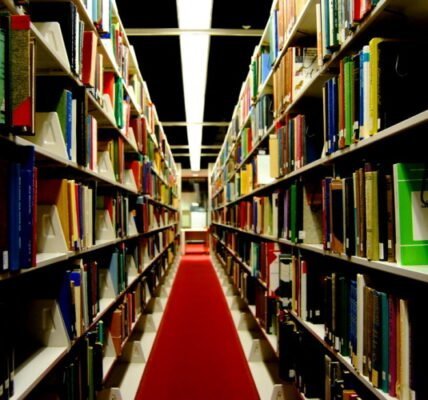 Rural areas await rich libraries