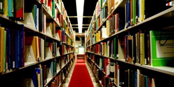 Rural areas await rich libraries