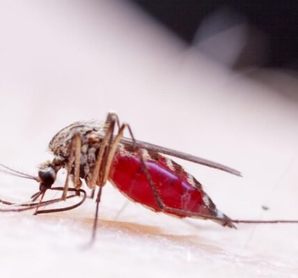 Zika virus confirmed in seven more patients in Pune city of Maharashtra