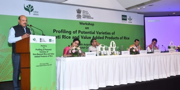 APEDA and IRRI South Asia Regional Centre organize workshop on healthier rice-based food innovations