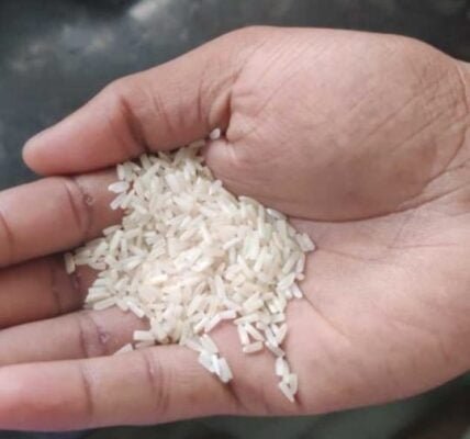 Basmati rice
