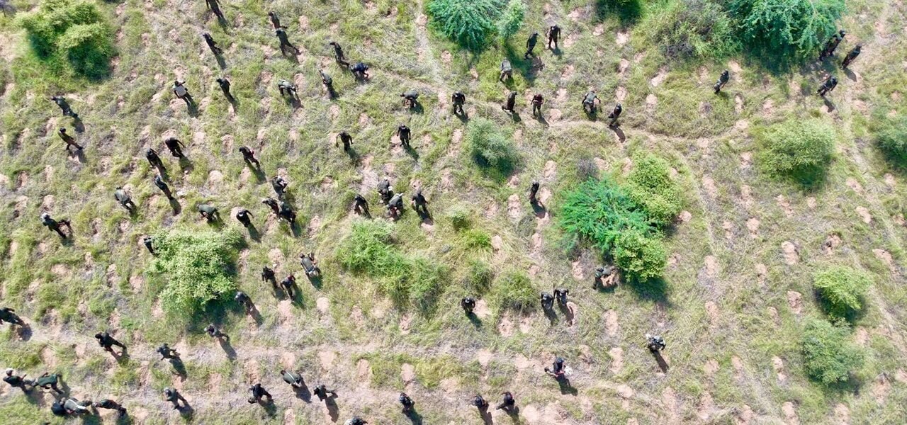 Union Environment Minister congratulates 128 Battalion Ecology Task Force of Territorial Army for creating world record by planting more than 5 lakh saplings in one hour