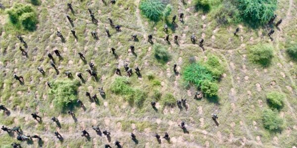 Union Environment Minister congratulates 128 Battalion Ecology Task Force of Territorial Army for creating world record by planting more than 5 lakh saplings in one hour