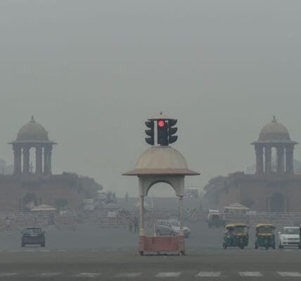 Weather: Pollution in New Delhi