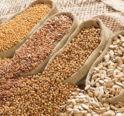 domestic oilseed prices