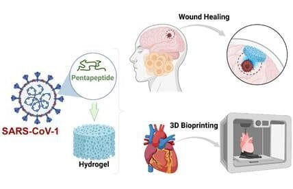 A new way to make hydrogels using short protein fragments of just five amino acids from the SARS-CoV-1 virus has been discovered