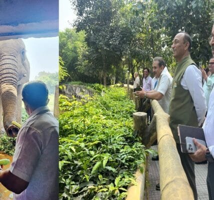 Union Minister of State for Forests Kirtivardhan Singh inspected Delhi Zoo and enquired about the health of African elephant Shankar