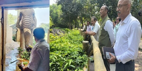 Union Minister of State for Forests Kirtivardhan Singh inspected Delhi Zoo and enquired about the health of African elephant Shankar