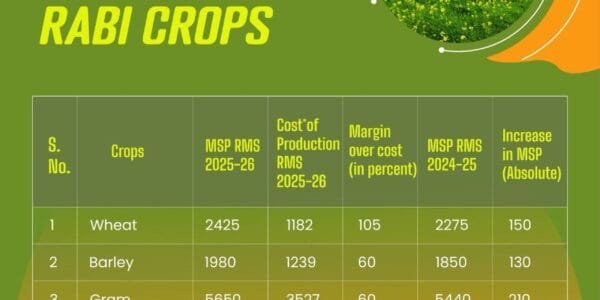 government increased the Minimum Support Price (MSP) of Rabi crops