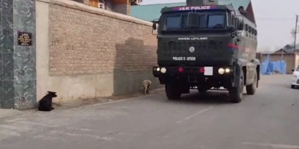 An encounter between militants and security forces took place in Badimarg area of ​​Behibagh in Kulgam district of Jammu and Kashmir