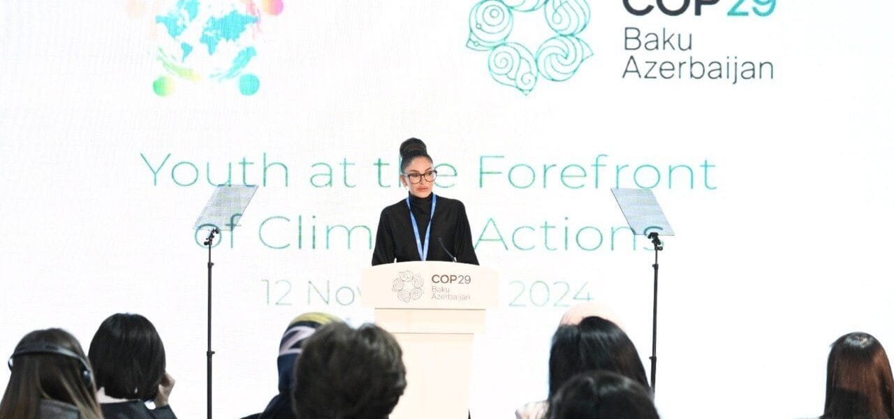 COP29 India, other developing countries call for fair climate finance commitments