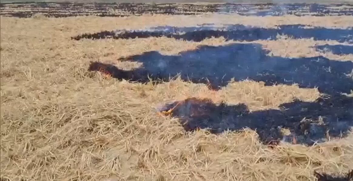 Ministry of Environment, Forest and Climate Change doubles penalty for stubble burning