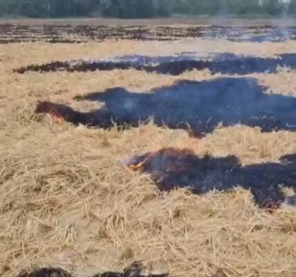 Ministry of Environment, Forest and Climate Change doubles penalty for stubble burning