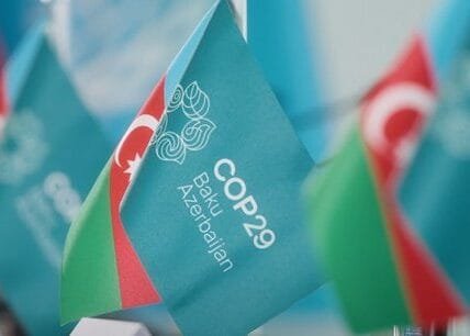 cop29 india