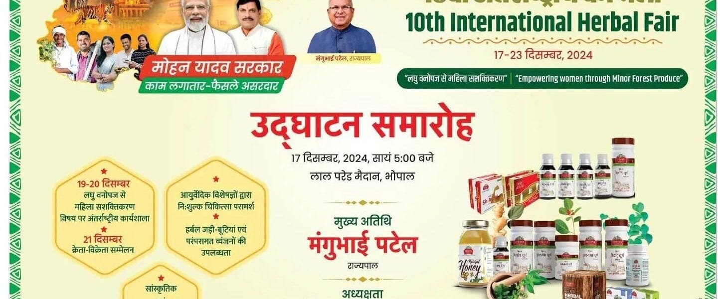 10th International Forest Festival