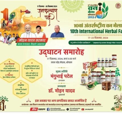 10th International Forest Festival