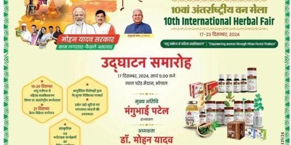 10th International Forest Festival