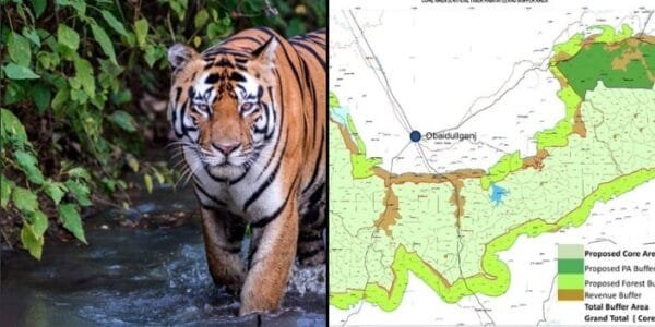 After the approval of the Central Government, Ratapani was declared the eighth tiger reserve area of ​​Madhya Pradesh