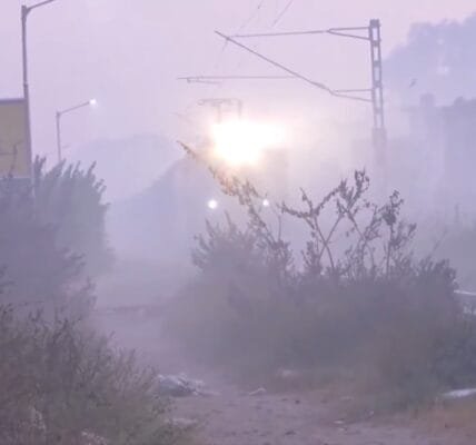 Cold wave intensifies in North-West India, minimum temperature drops to 5 degrees at many places