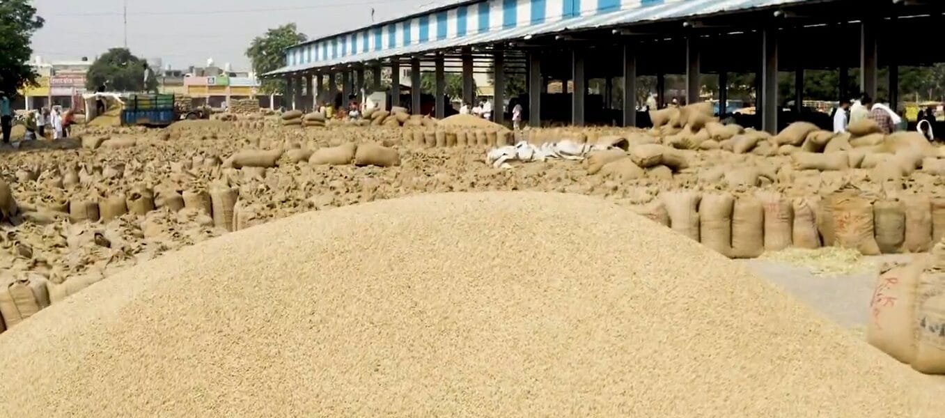 During Kharif marketing season 2024-25, about 172 LMT paddy was procured from farmers in Punjab