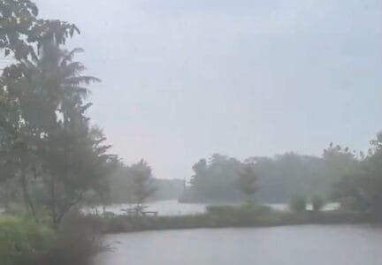 IMD predicted heavy rains in Kerala for the next four days, red alert for heavy rains has been issued in 4 districts