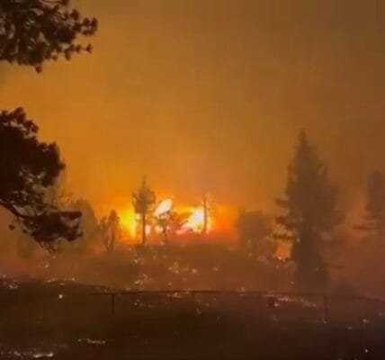 25 people died in forest fire in Los Angeles, USA and thousands of people were ordered to be evacuated