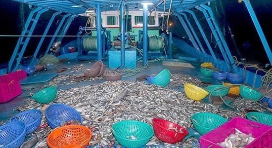 Five Indian fishermen were injured in Sri Lankan Navy firing last night near Delft Island