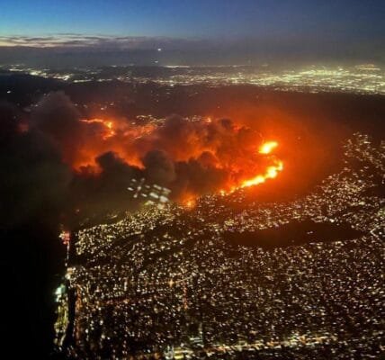 Five people died in a massive forest fire in Los Angeles, USA