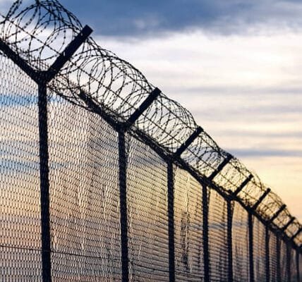 India completes fencing of over 9 km along border with Myanmar