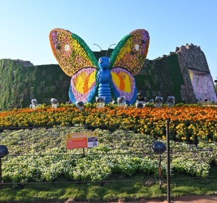 PM Modi shares glimpses of Ahmedabad International Flower Show
