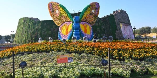 PM Modi shares glimpses of Ahmedabad International Flower Show