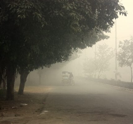 cold wave