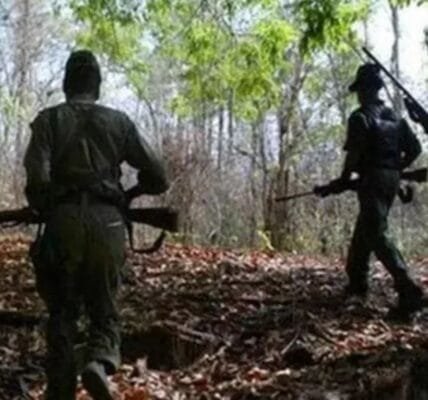 31 Naxalites killed