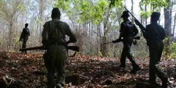 31 Naxalites killed