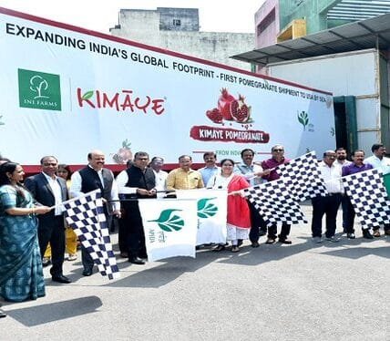 APEDA sends sea consignment of Indian Pomegranates to Australia for the first time