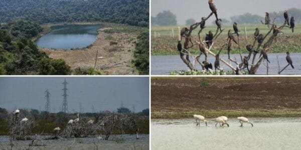 Centre announces addition of four new Ramsar sites