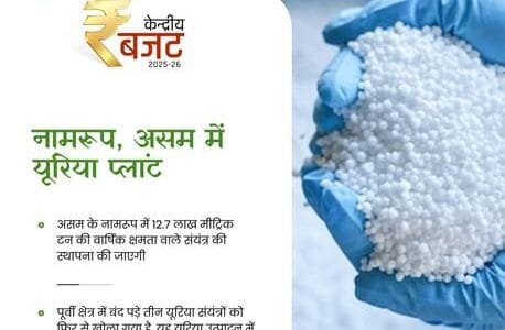 Union Budget 2025-26 Several measures announced to develop agriculture sector and increase productivity for the benefit of farmers