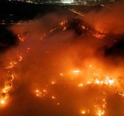 18 people died in forest fire in South Korea