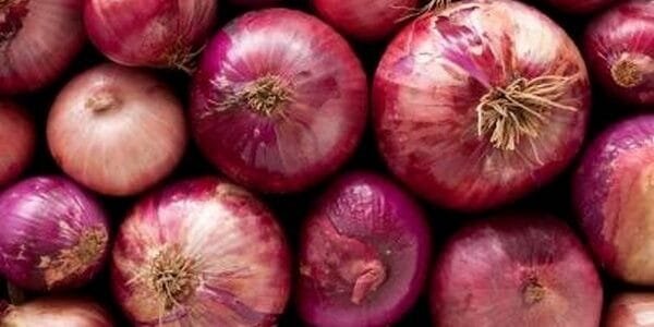 Centre withdraws 20% duty on onion export from April 1