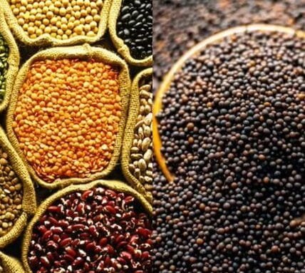 Government committed to buy 100% of the production of tur, urad and lentil at MSP