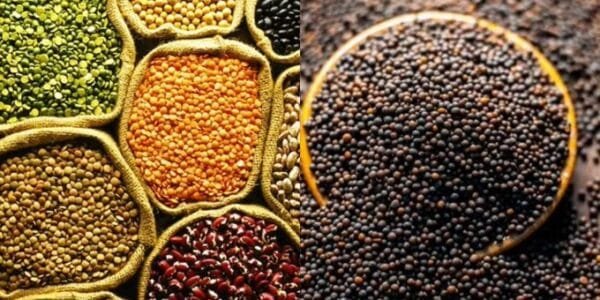Government committed to buy 100% of the production of tur, urad and lentil at MSP