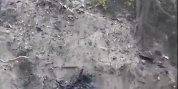 Indian Air Force's Jaguar fighter jet crashed in Ambala, Haryana today