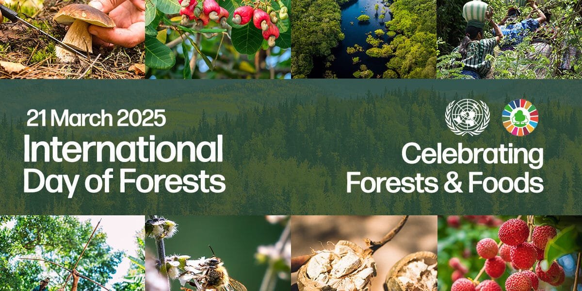 International Day of Forests today, this year's theme is Forests and Food