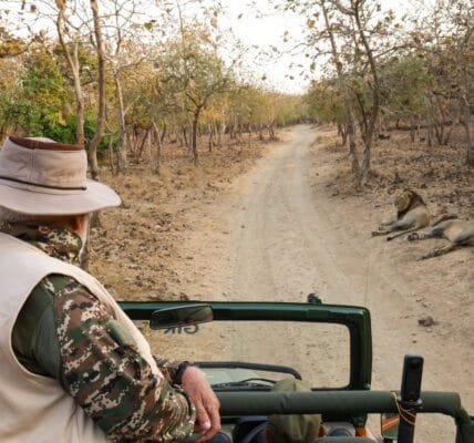 PM Narendra Modi visits Gir National Park and Wildlife Sanctuary in Gujarat