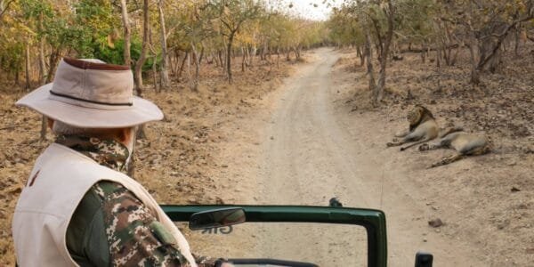 PM Narendra Modi visits Gir National Park and Wildlife Sanctuary in Gujarat